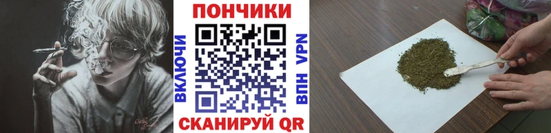 Псилоцибиновые грибы Бердск