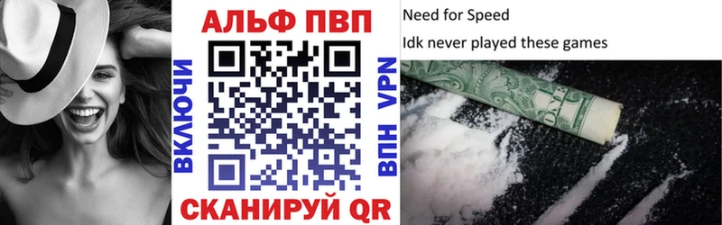 A PVP СК Бердск