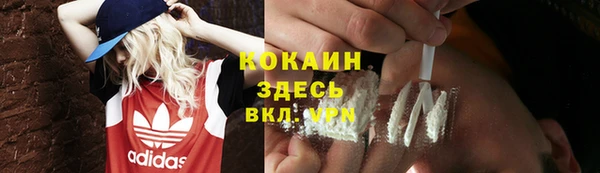 мяу мяу мука Алексин