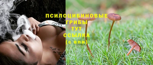 тгк Алексеевка