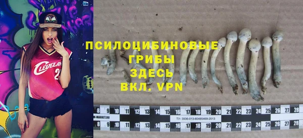 тгк Алексеевка