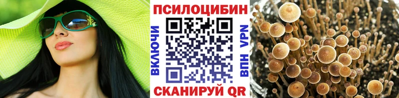 Галлюциногенные грибы прущие грибы  где найти   Бердск 