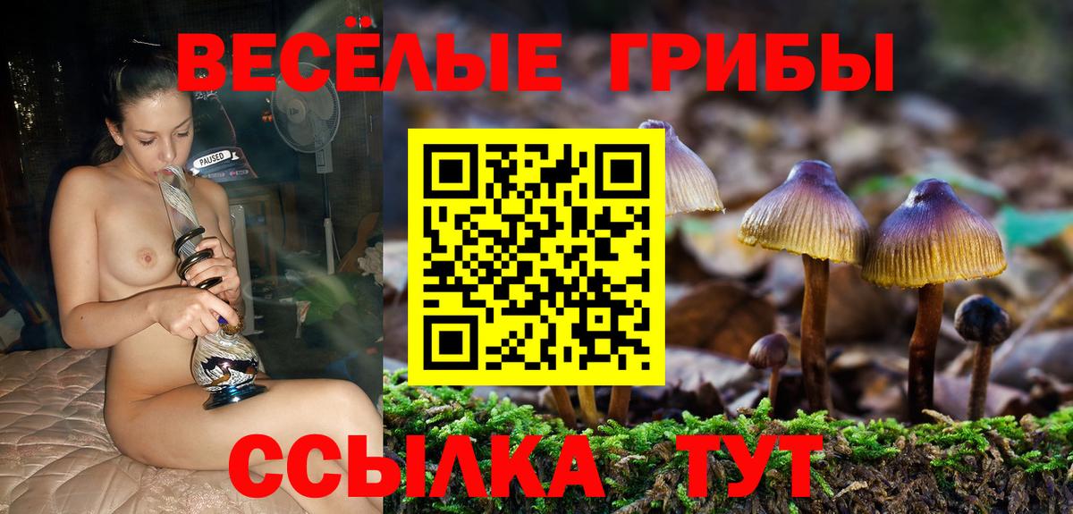 Бердск  купить  сайты  Вход с VPN  Псилоцибиновые грибы прущие грибы 